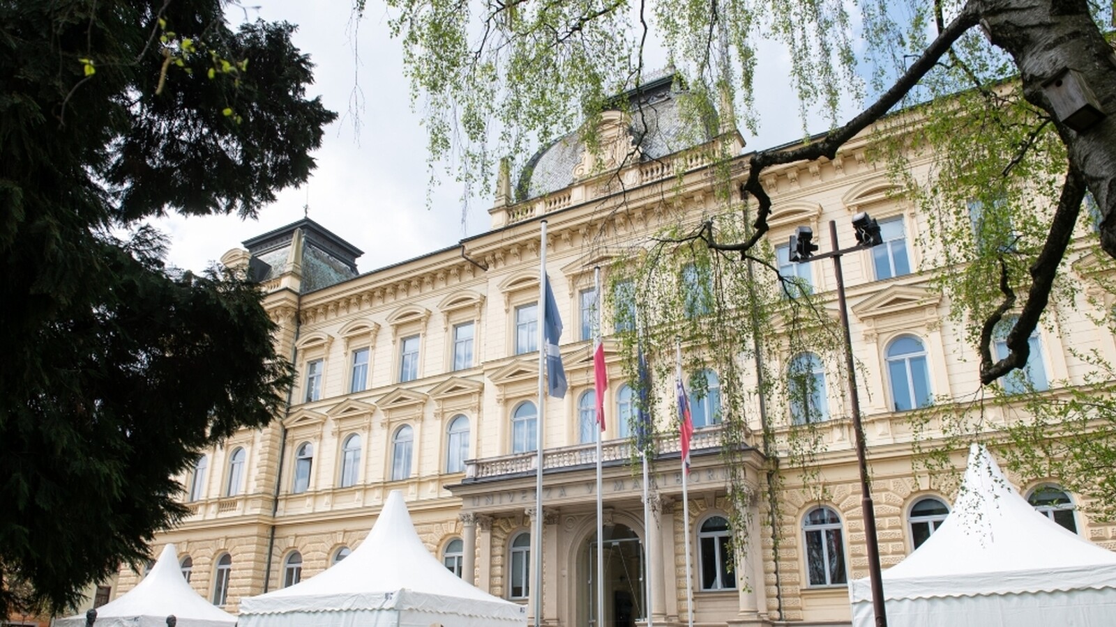Karierni center Univerze v Mariboru
